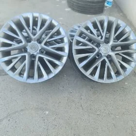 Kemri Disga R17