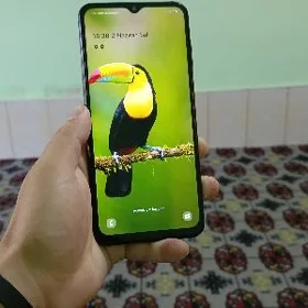 Samsung F13