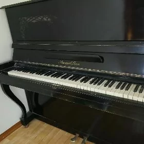Pionina