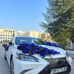 Toy mashyn Lexus