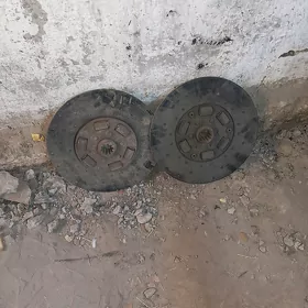 диск  ципления