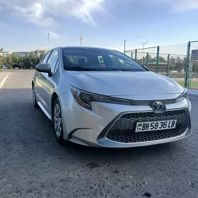 Toyota Corolla 2021