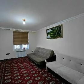 ARENDA JAY 5 mik