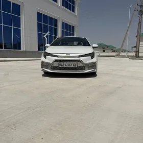 Toyota Corolla 2019