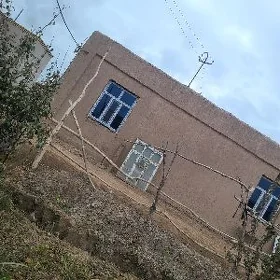 ayna