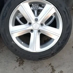 17 lik zapasga uçin