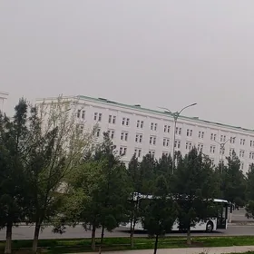 Kywartyra