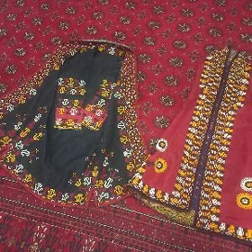 gadymy kurte