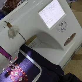 Janome 350