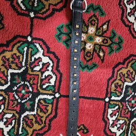 ошейник для собак