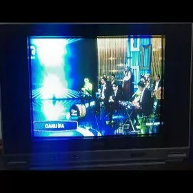 Televizor Orvica