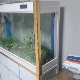аквариум  akwarium
