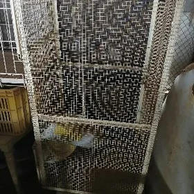 Ketek