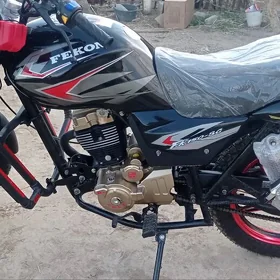 Fekon FK200-14G 2026