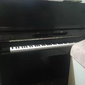 Piýanino saz gural