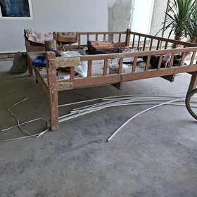tapçan