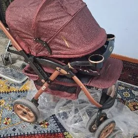 Caga kalyaska