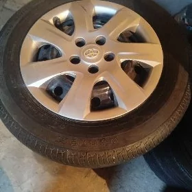 Tayota radnoy dysga
