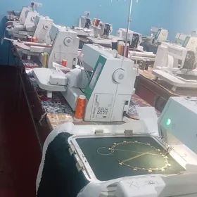 Janome 450E