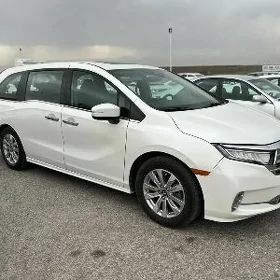 Honda Odyssey 2023