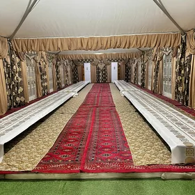 Palata Gummez satlyk
