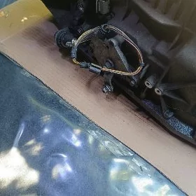 bmw karopga kareyka