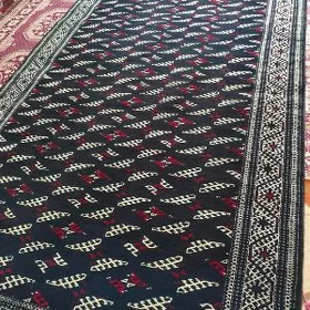 Gara haly