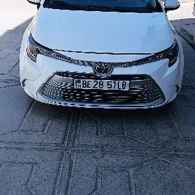 Toyota Corolla 2023