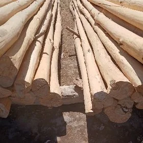Agaç