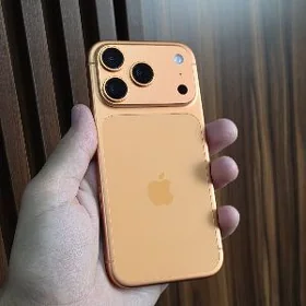 17pro