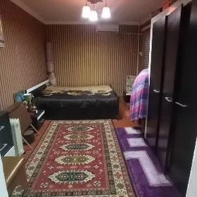 Satlykda jaý