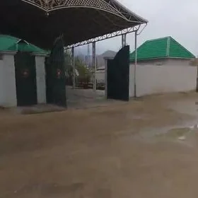satlyk jsy