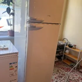 VESTEL HOLODINIK