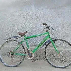 Turkmenistan tigir