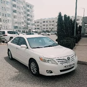 Toyota Camry 2010