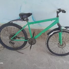 Turkmenistan tigir
