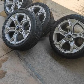 kia stinger disga pakisga
