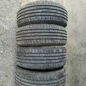 pakryska 16 lyk tazeje