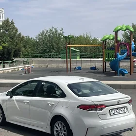 Toyota Corolla 2021