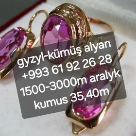 Gyzyl kümüş alyan gymmat bahad