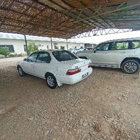 Toyota Corolla 1994