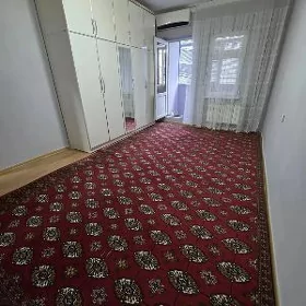 Arenda jay Mir 7