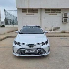 Toyota Corolla 2021