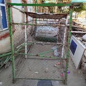 towuk ketek курятник
