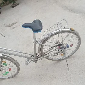 Yapon tigir