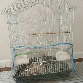 клеткаклетка