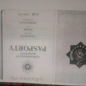 pasport ýitdi