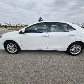 Toyota Corolla 2014