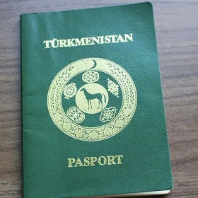 Pasport Yetirdim
