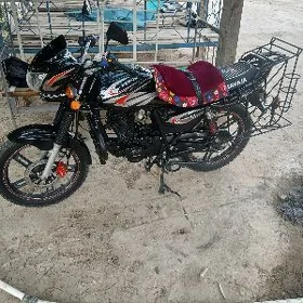 Fekon FK150-8G 2013
